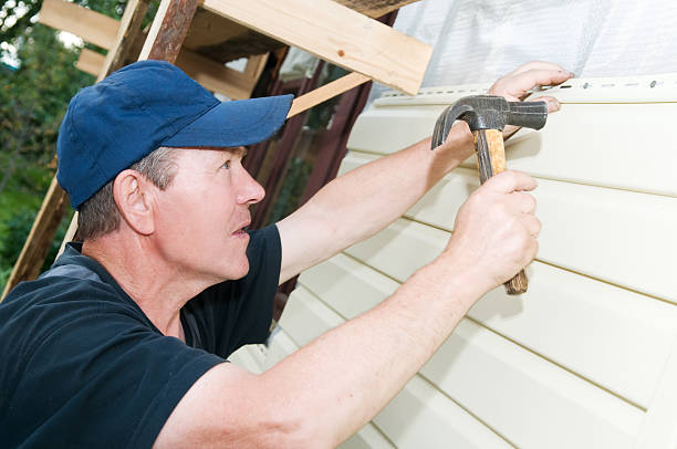Best Historical Building Siding Restoration  in Springfield, MN